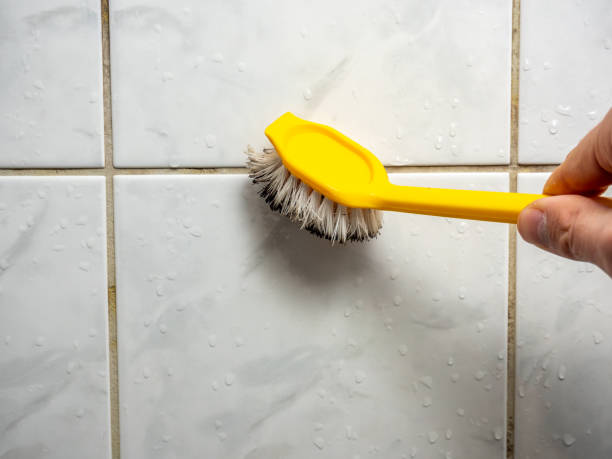 Best Kitchen Mold Remediation in Elmo, TX